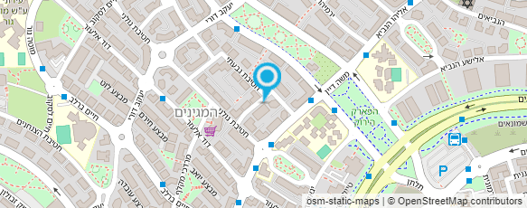 מפת הגעה אל לאון לב רו"ח מפת הגעה אל לאון לב רו"ח