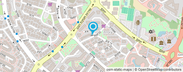 מפת הגעה אל פליינג קרגו בע"מ