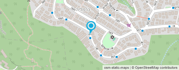 מפת הגעה אל פלטי יועצים בע"מ