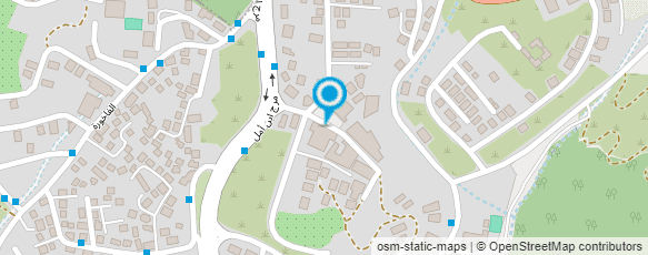 מפת הגעה אל ג'ורג' והנרי דור