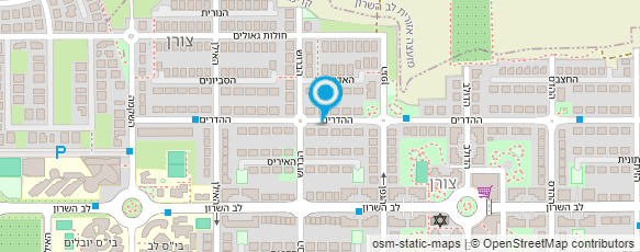 מפת הגעה אל שריג הדסה - יועצת