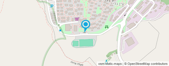 מפת הגעה אל מלון עין גדי