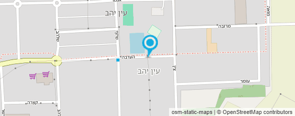 מפת הגעה אל בין עצי התמר - רינה קליין