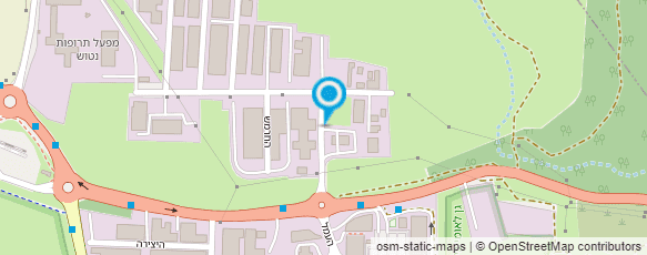 מפת הגעה אל תמנון נשים גברים וילדים