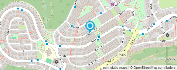 מפת הגעה אל שילה פורמן אירית מפת הגעה אל שילה פורמן אירית