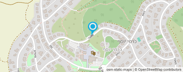 מפת הגעה אל מירי לביא ציור למבוגרים