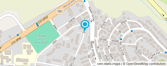 מפת הגעה אל אומן הגבס - ניסים