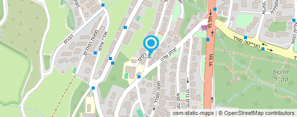 מפת הגעה אל הסוויטה של אילנה