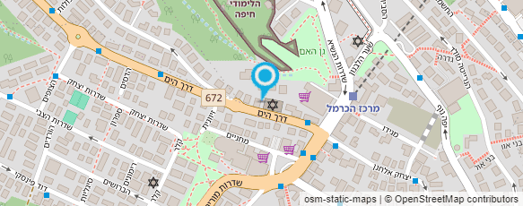 מפת הגעה אל הריאלי העברי בחיפה