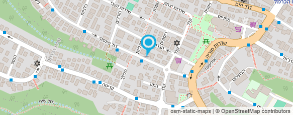 מפת הגעה אל "כרמל" המרכז הבינ"ל להכשרה ע"ש גולדה מאיר