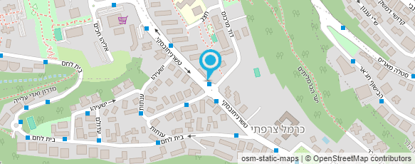 מפת הגעה אל סלון ויויאן