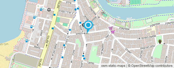 מפת הגעה אל מישל מרטיני - עיצוב שיער