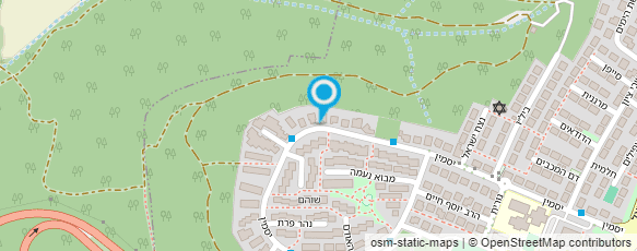 מפת הגעה אל ד"ר רון גאגין