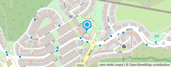 מפת הגעה אל ליאון מאיר