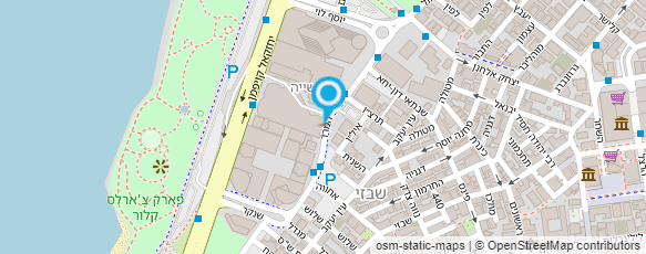 מפת הגעה אל ניצן שגית