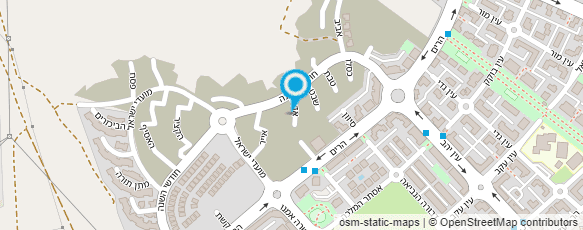 מפת הגעה אל מכון  ת.ל.ם - תמיכה לימודית מיוחדת