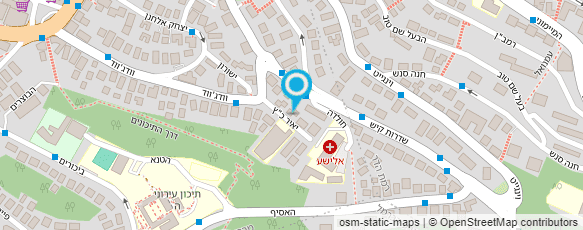 מפת הגעה אל איסאיק אנגלין - ציירת