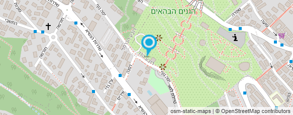 מפת הגעה אל רון ארי