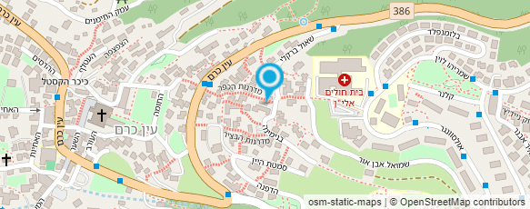 מפת הגעה אל רוני רז