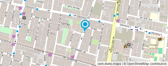 מפת הגעה אל תמי דור