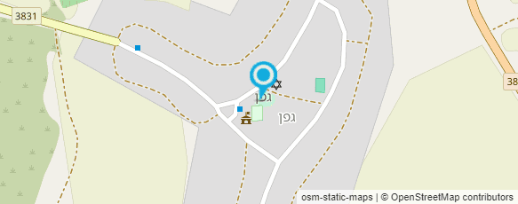 מפת הגעה אל גפן