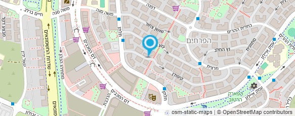 מפת הגעה אל ד"ר לרנר ז'אנה