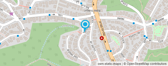 מפת הגעה אל פרופ' מאיר חוה מפת הגעה אל פרופ' מאיר חוה