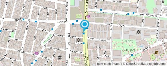 מפת הגעה אל אפל מאיר מכון לפיזיותרפיה