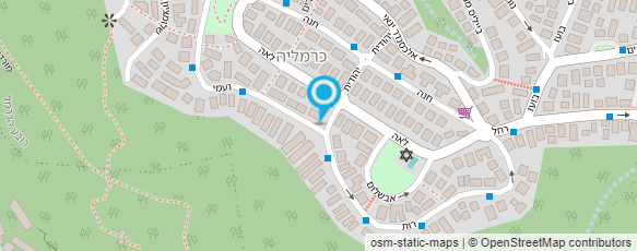 מפת הגעה אל ד"ר וליש גזה