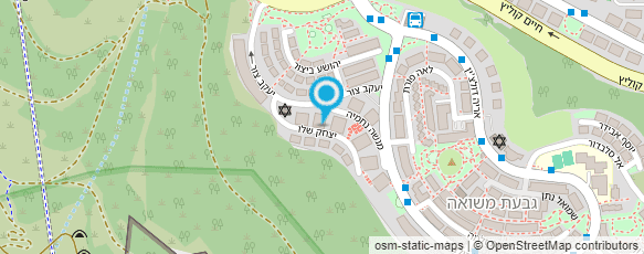 מפת הגעה אל דני אייבזון