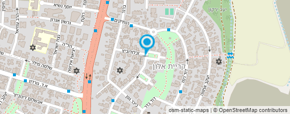 מפת הגעה אל דוד שרביט