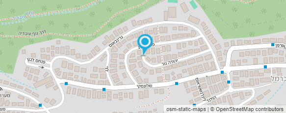 מפת הגעה אל ד"ר היינריך אבי