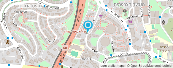 מפת הגעה אל פלדמן מיקי-יועץ