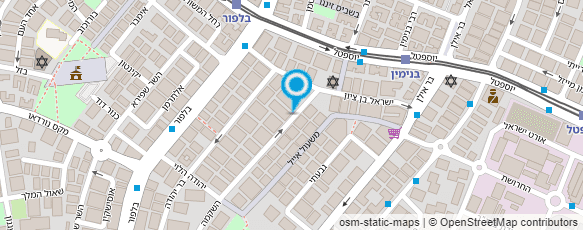 מפת הגעה אל גן ועץ - חיים בודישטיין