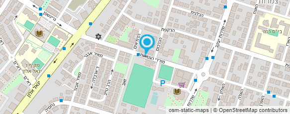 מפת הגעה אל מיכאל חונדיאשוילי ציורי דיוקן ונוף