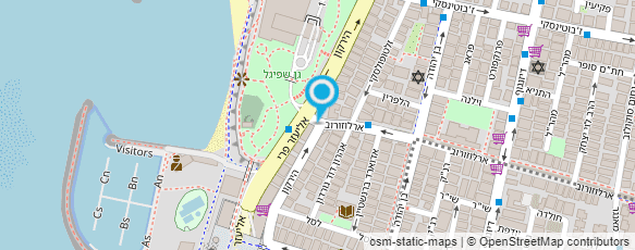 מפת הגעה אל הצלב האדום הבינלאומי