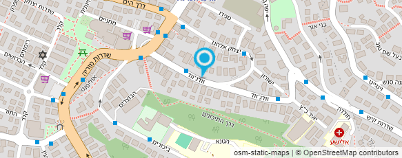 מפת הגעה אל ד"ר ליאו ברגמן ושות' מפת הגעה אל ד"ר ליאו ברגמן ושות'