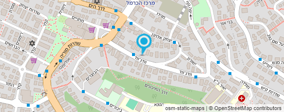 מפת הגעה אל ברגמן ליאורה