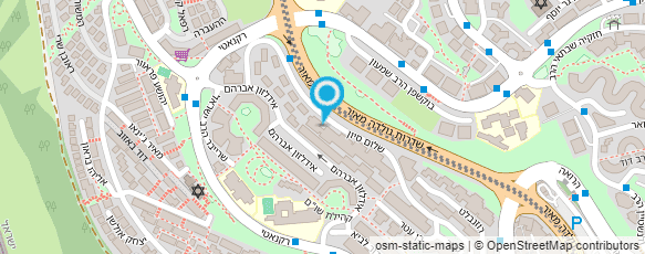 מפת הגעה אל גולדברג הרב בינס פנחס