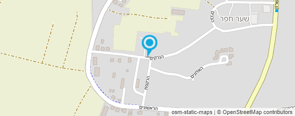 מפת הגעה אל עולם השטיחים