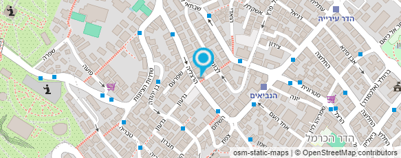 מפת הגעה אל ארגון נכי המלחמה בנאצים (חיילים ופרטיזנים לשעבר)