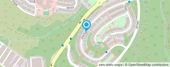 מפת הגעה אל אסתר מיכאסקו רפלקסולוגית בכירה