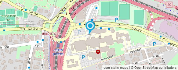 מפת הגעה אל דנהל'ה פרחים בי"ח וולפסון