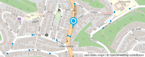 מפת הגעה אל טליה לב-מימון