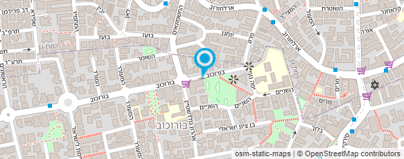 מפת הגעה אל תיווך בורוכוב מפת הגעה אל תיווך בורוכוב