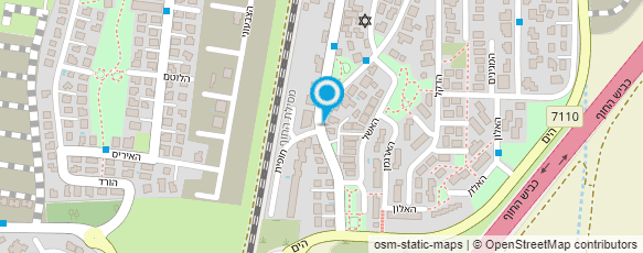 מפת הגעה אל פיצה כהן