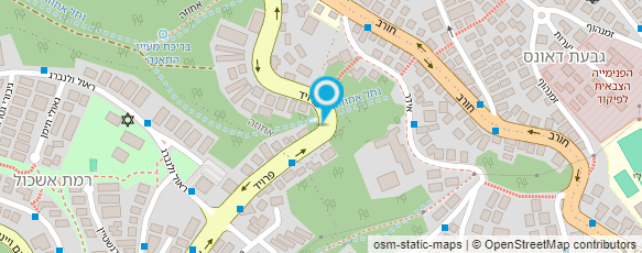 מפת הגעה אל אולגה מויטליס - נגנית נבל