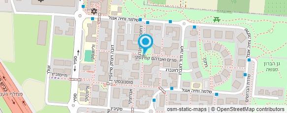 מפת הגעה אל איריס - הדרכה לצמיחה עסקית