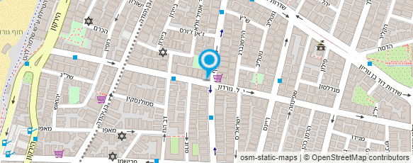 מפת הגעה אל דיזינגוף סוויטס - מלון דירות