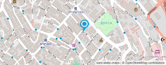 מפת הגעה אל גרינשטיין אלכס